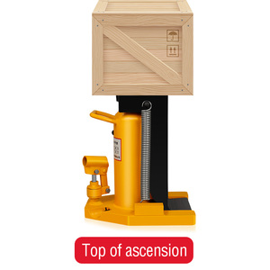 Vérin <span class=keywords><strong>hydraulique</strong></span> à vis, 10 tonnes, prix de vérin <span class=keywords><strong>motorisé</strong></span> - Product Image 3