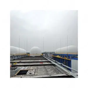Groothandel Bio Gas Anlage Plant 3.4 Cbm Project Met Fermentatie Tank Gas Houder En Generator