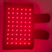 Coussinets de luminothérapie LED Vanoke pour chiens et chats avec batterie au lithium rechargeable 3W, soulagement de la douleur et thérapie photonique