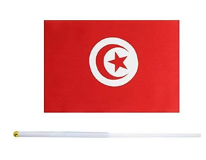 Producto de bandera pequeña promocional 14*21cm mano ondeando elección Túnez banderas con poste de plástico - Product Image 3