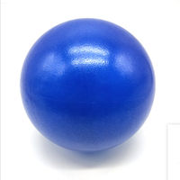 Ballon de yoga Pilates de 25 cm, mini ballon de yoga avec pompe