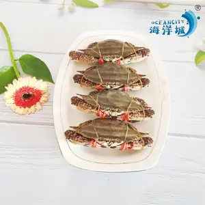 Quality Frozen Seafood Supplier Fresh Frozen Swimming Crab