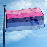 Drapeau de la fierté omnisexe double face en polyester rose, violet et bleu, bannière LGBTQ+ pour les événements de fierté, affichage intérieur et extérieur