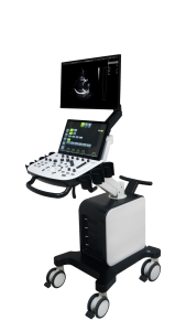 Mesin Sistem <span class=keywords><strong>Ultrasound</strong></span> Doppler Warna Portabel <span class=keywords><strong>3D</strong></span> <span class=keywords><strong>4D</strong></span> Dawei Veterinary Animal Pet untuk Dijual - Product Image 4