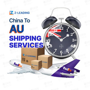 Vols charter Ups transitaire Sea Fright Service Ddp Indonésie Expédition Fret Corée Japon Australie Service personnalisé - Product Image 1