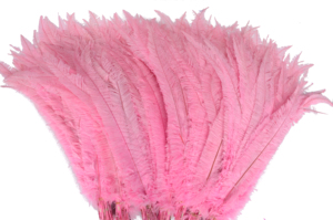 50 ، ريش نعام ناندو للحفلات المنزلية ، مزهرية زفاف ، ديكور يدوي ، قبعة زهور ، إكسسوارات أغطية رأس - Product Image 3