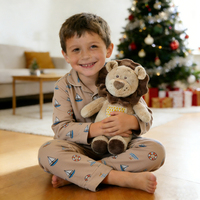 Jouet en peluche personnalisé, créez votre propre design, CE CPC ASTM, poupées de lion personnalisées, animaux en peluche doux