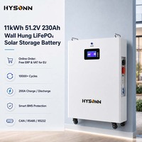 Batterie de stockage solaire murale Hysonn 11,77 kWh 51,2 V 230 Ah LiFePO4 pour installateurs européens, alimentation de secours pour onduleur hybride