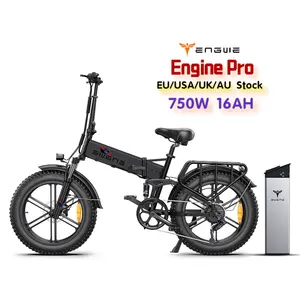 Engwe Motor Pro 750W En 48V Engwe Hoge Prestaties Elektrische Fiets Met Fat Tire Engwe Elektrische Vouwfiets