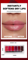 Palette de lèvres mate personnalisable avec logo, faible MOQ, en stock, nouvelle collection, rouge à lèvres longue tenue, maquillage minéral, crème végétalienne