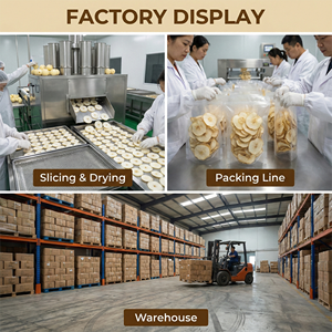 Tranches <span class=keywords><strong>de</strong></span> <span class=keywords><strong>poire</strong></span> des neiges séchées au soleil fiables, qualité supérieure, vente en gros directe usine pour les marchés importateurs TCM à grande échelle - Product Image 4