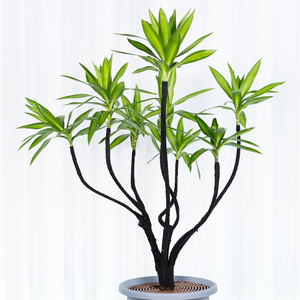 Specialized Bonsai <b>Binding</b> Wire Green Black Plastic Potted Plants Shaping Tool - Product Image 1