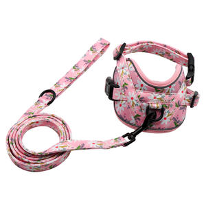 Conjunto de arnés y correa para perro con estampado Floral de lujo, chaleco de poliéster a la moda para Teddy Bichon, equipo para caminar al aire libre, conjunto al por mayor - Product Image 4