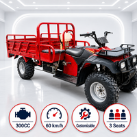 Quad cargo tout-terrain, charge utile maximale 750 kg, véhicule cargo tout-terrain robuste