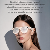 Lunettes Intelligentes IA avec Caméra, Appel Bluetooth, Traduction IA, Assistant Vocal, Audio Open-Ear, Logo Personnalisé