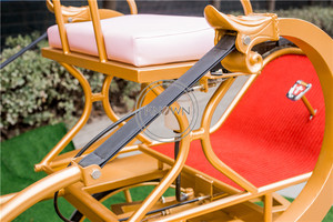 2024 duyên dáng công chúa Cô bé lọ lem ngựa vận chuyển đám cưới hoàng gia điện ngựa xe ngựa di động để bán - Product Image 5