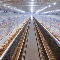 Gallinero Prefabricado de Estructura de Acero Ligero / Nave para Granja Avícola / Gallinero para Pollos de Engorde y Ponedoras para 5000/10000/20000 Pollos