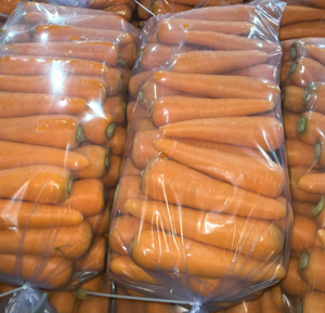 جزر صيني عضوي طازج عالي الجودة من المحصول الجديد للبيع بالجملة - Product Image 5