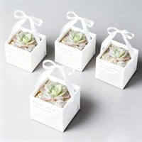 Boîtes de poignée de plantes rigides blanches Offre Spéciale Boîte de papier d'affaires et de shopping biodégradable Boîte de plantes succulentes écologique à l'encre de soja