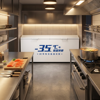 2026 Pabrik Langsung Rumah & Komersial Kapasitas Ekstra Besar -35 ℃   Lemari Pendingin Dada (Deep Freezer) Harga Promo