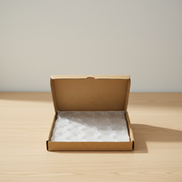 Capsules transparentes en plastique PS pour pièces de monnaie américaines de 38 mm, 39 mm, 40,6 mm, 50 pièces par carton, boîte en papier kraft pour collection artisanale
