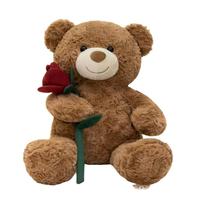 Nouveau style, ours en peluche rose multi-tailles pour la Saint-Valentin, jouet en peluche brun classique, ensembles de jouets en peluche pour la Saint-Valentin