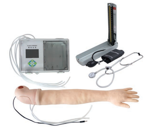 Dispositivo de Simulación de Circulación Sanguínea con Medición de <span class=keywords><strong>Presión</strong></span> <span class=keywords><strong>Arterial</strong></span> y Bomba Pulsátil - Product Image 3