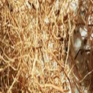 Fibre de coco de qualité exportée, fibre de coco forte et propre, parfaite pour les grossistes mondiaux et les acheteurs industriels - Product Image 1