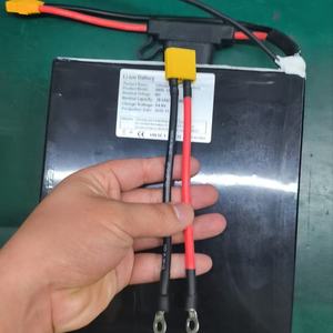 Batería de Litio para Scooter Eléctrico, Tamaño Personalizado, Celdas 21700/18650, 48V 52V 60V 72V 13S 14S 16S 20S 30AH 40AH 50AH 60-100AH - Product Image 2