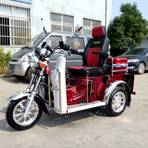 Triciclo Motorizado Cerrado para Personas con Discapacidad, con Capacidad de Alta Velocidad - Product Image 1