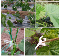 Petits clips de support pour plantes de tomates en plastique ronds de 30 mm, réutilisables pour les jardins potagers et l'agriculture en serre