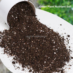 Tourbe nutritive naturelle pour usage en pot <span class=keywords><strong>de</strong></span> jardin au meilleur prix, engrais organique pour la culture en extérieur des plantes succulentes - Product Image 2