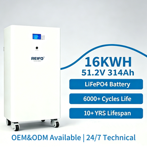 Système de stockage d'énergie hybride sur réseau IP55 avec BMS, batterie LiFePO4 16 kWh 51,2 V 314 Ah, pack de batteries lithium-ion, panneaux solaires - Stock UE - Product Image 1