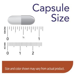 Complément concentré de canneberge de qualité supérieure pour soutenir la santé des voies urinaires chez les adultes – Capsules de concentré de canneberge - Product Image 2