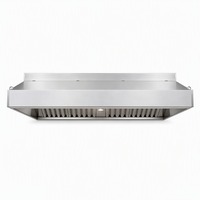 Campana Extractora Comercial de Acero Inoxidable para Cocina, Montaje en Pared, con Filtro de Grasa para Restaurante
