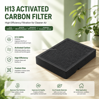 Filtre à charbon actif H13 sur mesure avec cadre en carton, taux de filtration haute efficacité 99,97 %, écologique et robuste pour l'air ambiant