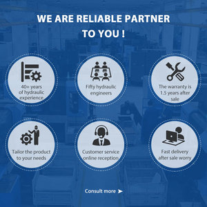 Sản xuất tại Trung Quốc efbg efbg06 thủy lực tỷ lệ thuận cứu trợ điều khiển van khối <span class=keywords><strong>servo</strong></span> van thủy lực - Product Image 6