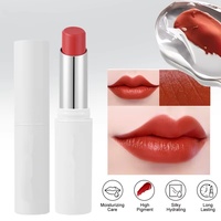 En stock, Best-seller transfrontalier : Rouge à lèvres hydratant, brillant et repulpant ; Gloss à lèvres longue tenue, anti-transfert et non collant, vente en gros