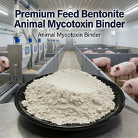 Granulés de Bentonite Pure pour l'Alimentation Animale, Liant pour Usine, Engrais, Additif de Revêtement, Amélioration des Sols Agricoles, Argile