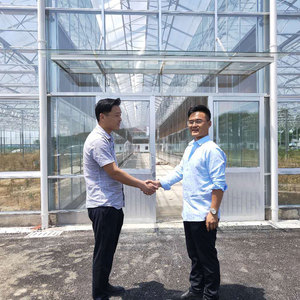 Smart Agricultural Multi-Span Venlo Tempered <strong>Glass</strong> <strong>Greenhouse</strong> with Solar Photovoltaic <strong>Panels</strong> and Steel Frame for Plant Growth - Product Image 6