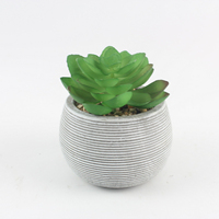 Pot de Plante Succulente Moderne sur Mesure en Ciment pour la Décoration Intérieure – Divers Types de Pots à Bonsaï et Jardinières