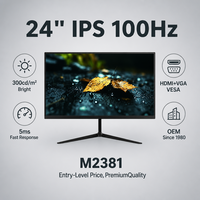 24 İnç FHD IPS Monitör 100Hz Dahili USB Hub 300cd/m² HDMI VGA İnce Çerçeve VESA Ofis Oyun OEM Özel