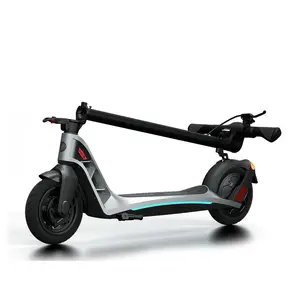 300W Volwassenen Elektrische Bromfiets Elektrische Scooter 10 Inch Band Elektrische Scooter Koplamp Snelheidsmeter Lithium Ion Batterij Elektrische Mot