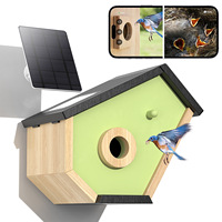 Slimme Vogelhuisje met Camera, Zonne-energie, 1080HD Live Video, Nachtzicht, 24 Uur Nestregistratie, Automatische Detectie en Melding