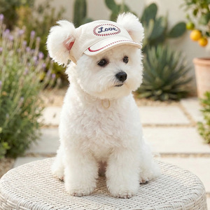 Chapeaux pour animaux de compagnie de différents designs, couvre-têtes pour chats et chiens pour la protection solaire et l'ombrage, casquette de baseball pour chien, accessoires pour animaux de compagnie - Product Image 3