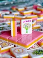 Coffret de Mahjong américain Pink Secret Garden, 160 tuiles, en acrylique 3 couches, motif floral botanique, cadeau de fêtes, prêt à être expédié, OEM
