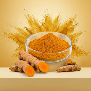 Extracto de Raíz de Cúrcuma 95% Curcumina en Polvo, Extracto Natural de Cúrcuma y Curcumina, Fabricante Mayorista - Product Image 1