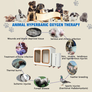 Máquina <span class=keywords><strong>de</strong></span> Oxígeno Veterinaria WinVast <span class=keywords><strong>para</strong></span> Perros y Gatos, Jaula <span class=keywords><strong>de</strong></span> UCI <span class=keywords><strong>de</strong></span> Tamaño Pequeño, Carpa <span class=keywords><strong>para</strong></span> Mascotas, 95% <span class=keywords><strong>de</strong></span> Concentración <span class=keywords><strong>de</strong></span> Oxígeno, Acero Inoxidable, Panel Táctil - Product Image 2
