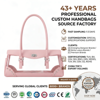 Sac à main transparent rose pâle en PVC, élégant et luxueux, avec clous décoratifs, sac à bandoulière long, chic pour le quotidien, sac à main pour femme, OEM personnalisé