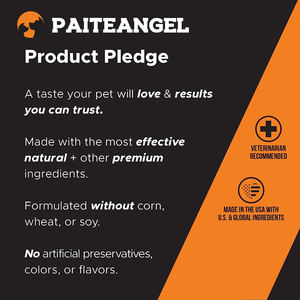 Toptan kalça ve ortak sağlık desteği köpekler yumuşak Chews Glucosamine <span class=keywords><strong>Chondroitin</strong></span> MSM zerdeçal gelişmiş köpek eklem takviyesi - Product Image 4